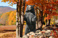Bear with Foliage